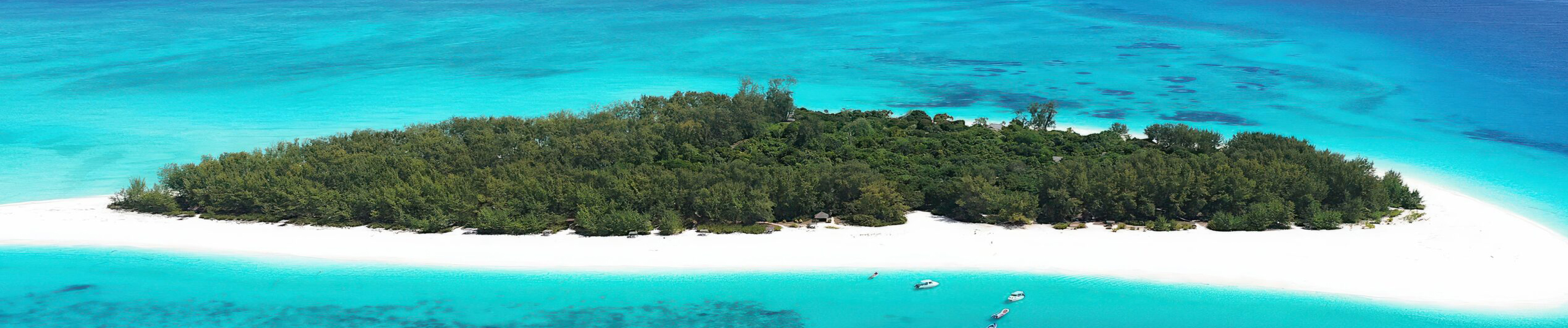 MNEMBA_ISLAND _DOLPHINS_AND_SNORKELING